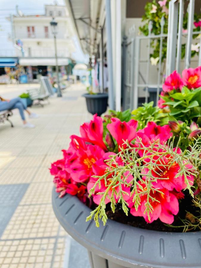 Nisel Seaside Daire Paralía Dış mekan fotoğraf